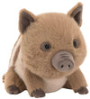 SWINLEY BOAR