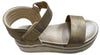 GOLD COMET SLIP ON WEDGE SHOE