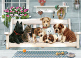 35  PIECE PORCH SWING BUDDIES PUZZLE