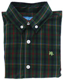 ROSCOE BUTTON DOWN - WATSON