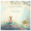 FEATHERS FROM ABOVE HARD BOOK