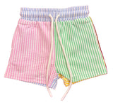 MULTI STRIPE SWIM TRUNK WITH LINER