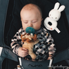LION WUBBANUB 42554