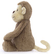 BASHFUL MONKEY