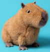 CLYDE CAPYBARA