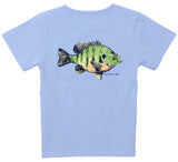 BABY BLUE GILL SS LIGHT BLUE