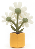 AMUSEABLES DAISY