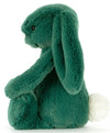 BASHFUL TEAL BUNNY