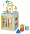 MULTI - ACTIVITY CUBE
