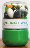 DINO GRAB AND GO DOUGH JAR