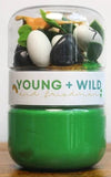 DINO GRAB AND GO DOUGH JAR