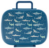 SHARK BENTO BOX  WITH REMOVABLE TRAY