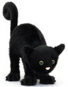 SPOOKIEPAWS CAT