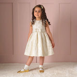 ROSE LACE DAMSK DRESS