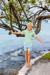 TORTOLA TRUNKS - PARROT ISLAND PALMS