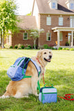 LEIGHTON LUNCH BOX - BEALE STREET BLUE, BARBADOS BLUE, NANTUCKET NAVY AND KIAWAH KELLY GREEN