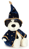 RUFFERTY PUPPY WIZARD OUTFIT