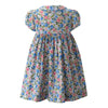 BLUE ROSE BUTTON DRESS