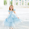 BLUE PRINCESS DRESS