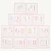 SIR PROPER'S MONTH MARKERS - PINK