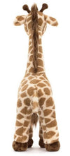 DARA GIRAFFE