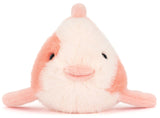 FANCY CARP