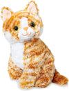 PUMPKIN TABBY