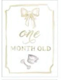 MONTH BY MONTH BABY CARDS- NEUTRAL