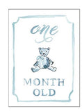 MONTH BY MONTH BABY CARDS- BLUE