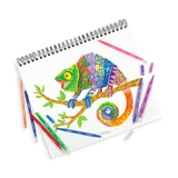 OOLY SWITCH-EROO COLOR CHANGING MARKERS