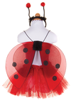 Ladybug Fairy Set