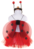 Ladybug Fairy Set