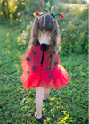 Ladybug Fairy Set