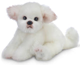 ANGEL THE MALTESE