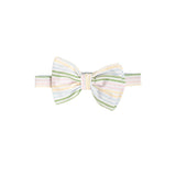 BAYLOR BOW TIE - RAINBOW ROW STRIPE