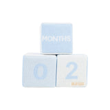 BLAYLOCK BLOCKS - BUCKHEAD BLUE, BEALE STREET BLUE & PALMETTO PEARL