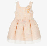 EMBROIDERED DRESS