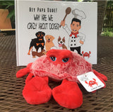 WHY ARE WE CRAZY ABOUT DOGS? BOOK